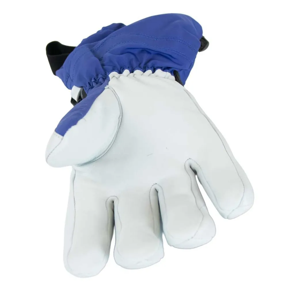 Annox Alpine Leather Ski Gloves
