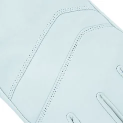 Annox Next Leather Ski Gloves