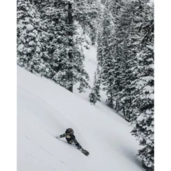 Arbor Wasteland Camber Snowboard