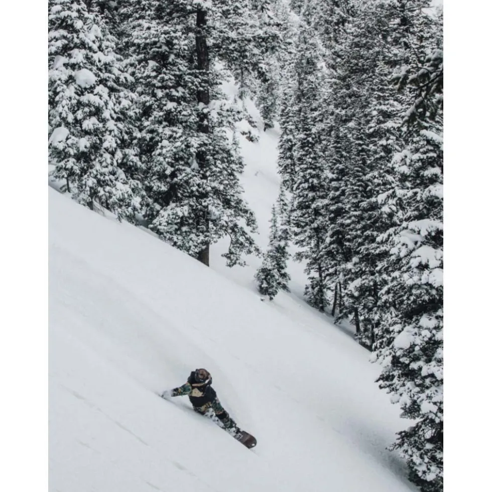 Arbor Wasteland Camber Snowboard