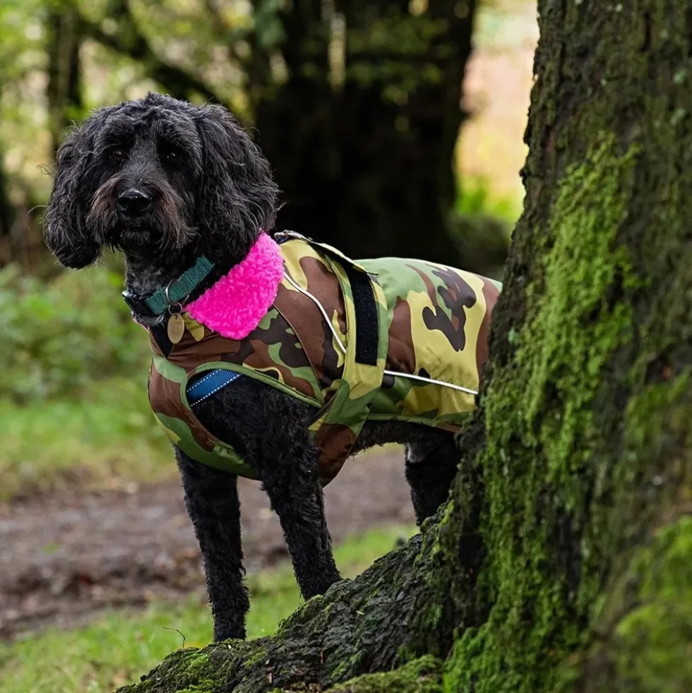 dryrobe® Pro Dog Coat
