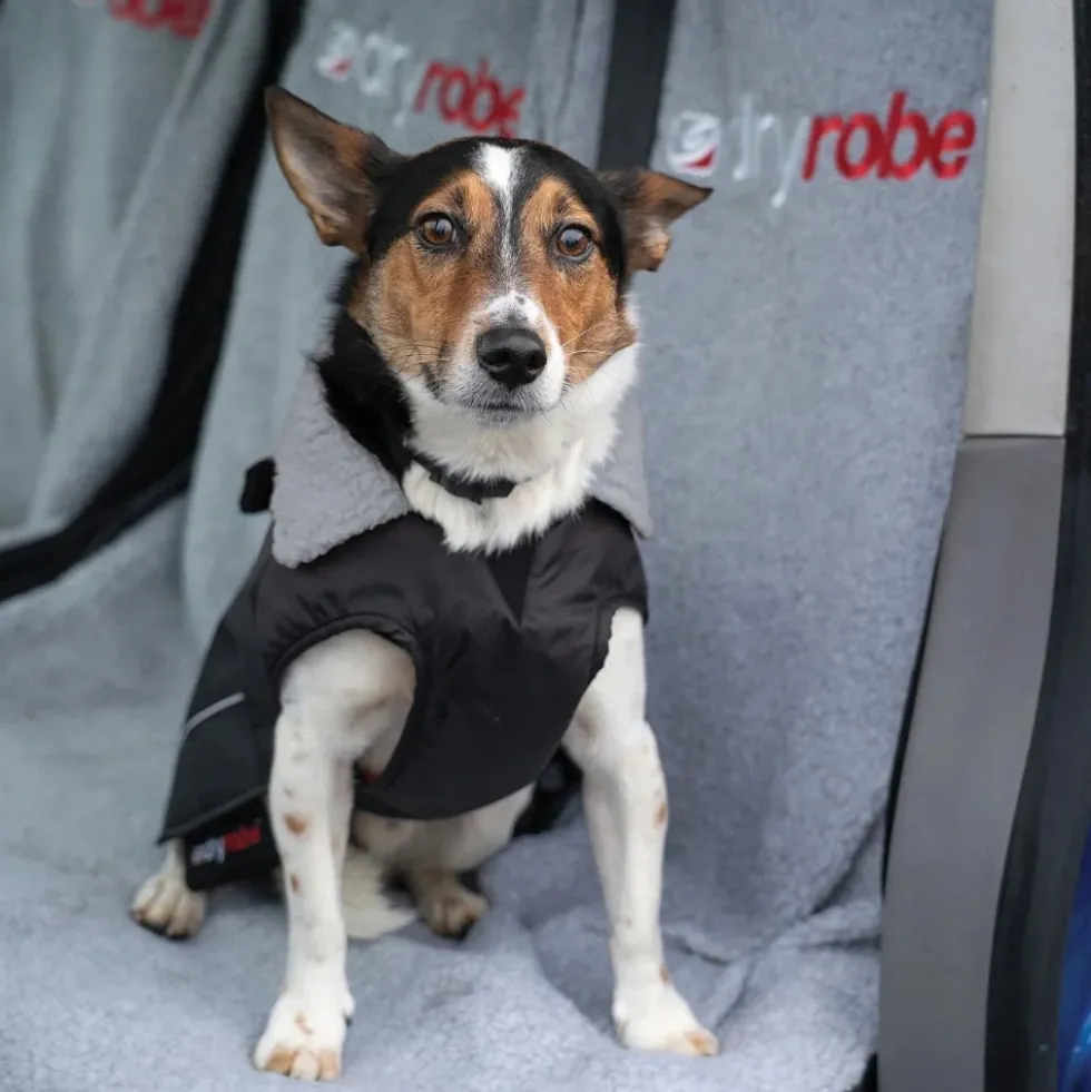 dryrobe® Pro Dog Coat