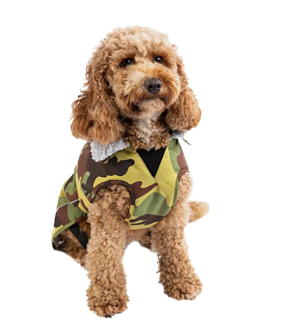 dryrobe® Pro Dog Coat