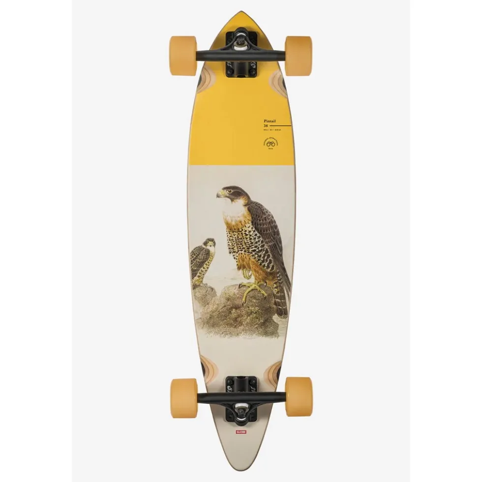 Globe Pintail Falcon Longboard