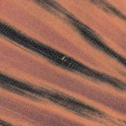 NKX Rocket Foil Board