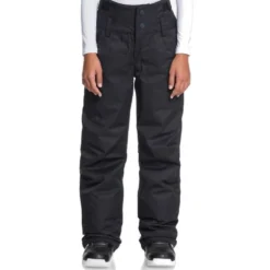 Roxy Diversion Ski Pants