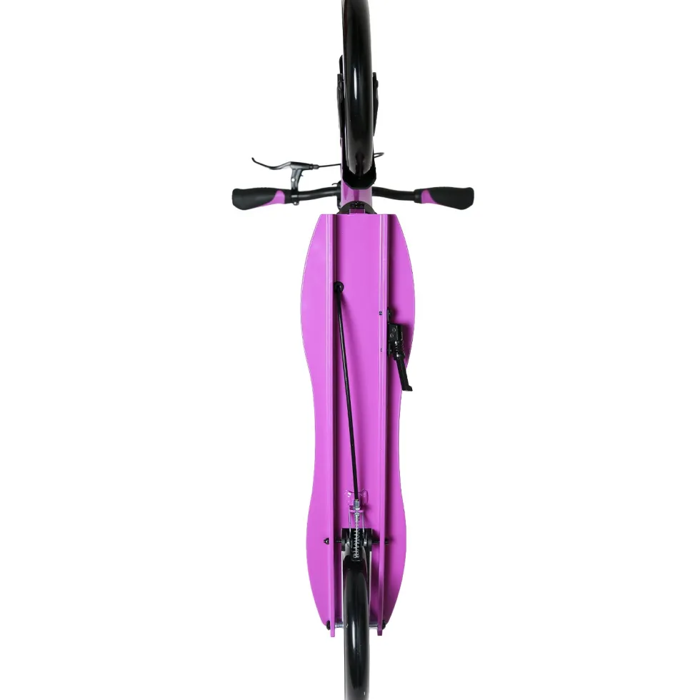 Story CityCruiser Transport Scooter
