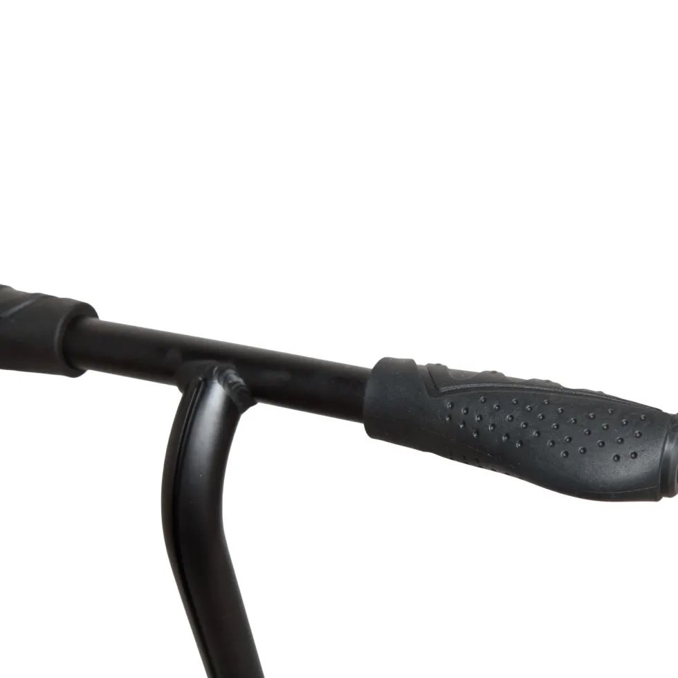 Story City Ride Adjustable Kick Scooter