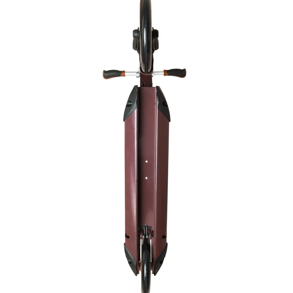 Story Explorer Foldable Kick Scooter