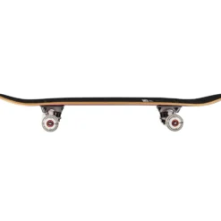 Story Genetic Skateboard