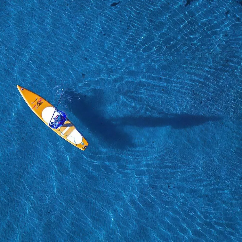 Story Global Inflatable Paddleboard / SUP